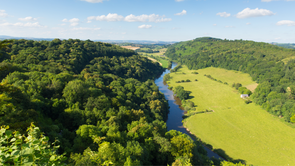 Aerial view of river running through a green field with bushy green trees 
