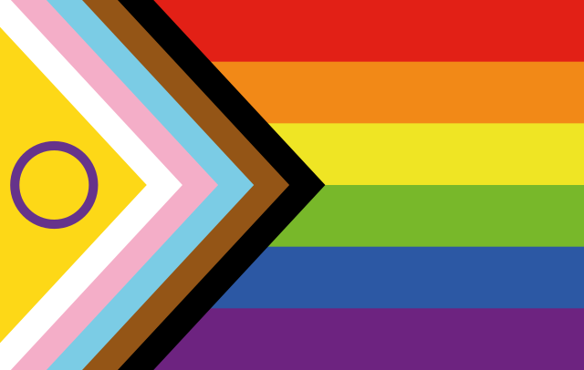 Intersex Flag - red, orange, yellow, green, indigo and violet stripes; black, brown, light blue, pink and white chevron with a yellow triangle and purple circle