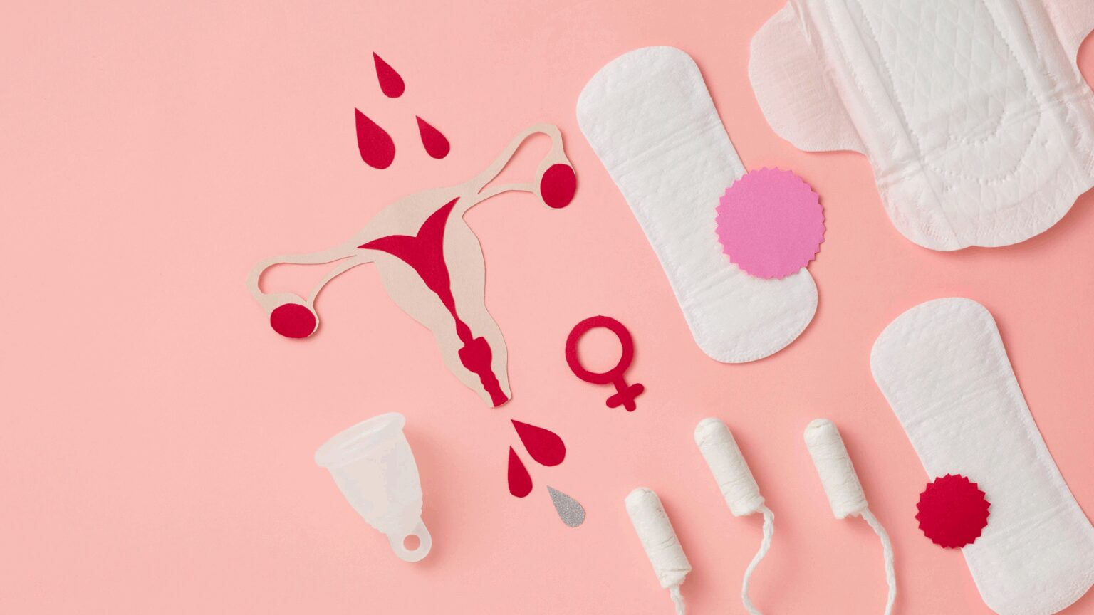 Illustration of of ovaries and menstrual products
