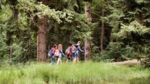 Four people walking in the woods
